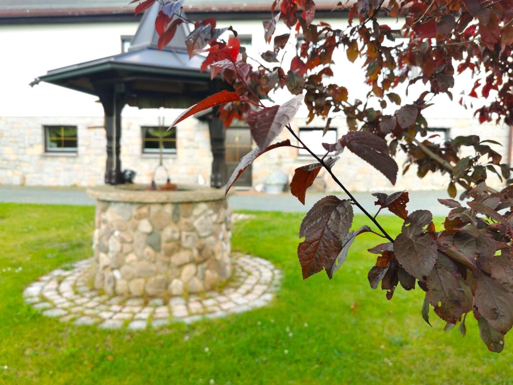 Ferienwohnung Am Bergmannsbrunnen Schoenheide Экстерьер фото